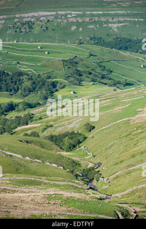 Guardando verso il basso Swaledale dal Buttertubs Pass, North Yorkshire, Regno Unito. Foto Stock