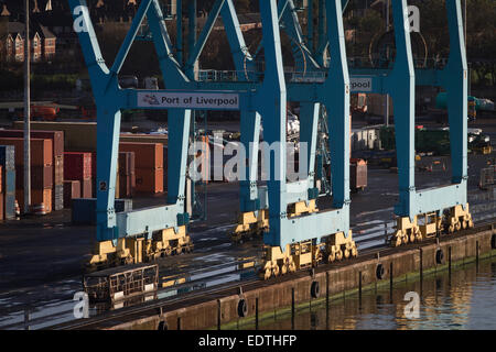 Contenitori di carico e di una gru sul lato dock a Seaforth Dock Liverpool, in Inghilterra, Regno Unito. Foto Stock