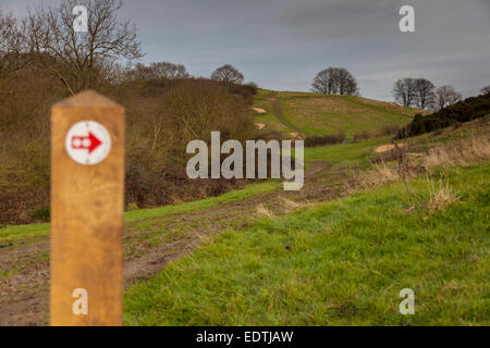 Corso di Mountain Bike Foto Stock