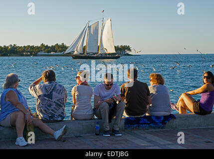 I turisti in Key West Mallory Square guardando la goletta su Sunset Cruise. Foto Stock