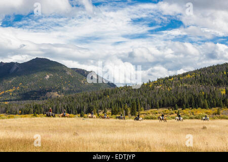 Passeggiate a cavallo nel West Horseshoe Park area del Parco Nazionale delle Montagne Rocciose in Colorado Foto Stock