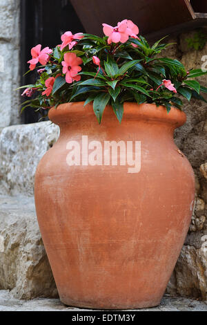 Fiori di colore rosa nel vecchio vaso in ceramica Foto Stock