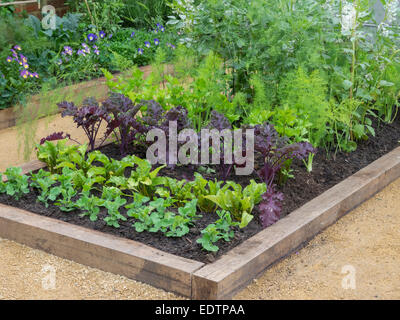 Londra, UK, 20 maggio 2014 RHS Chelsea Flower Show primo giorno Foto Stock