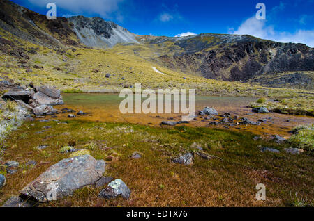 Tarn su Kepler via nel Parco Nazionale di Fiordland, Nuova Zelanda Foto Stock