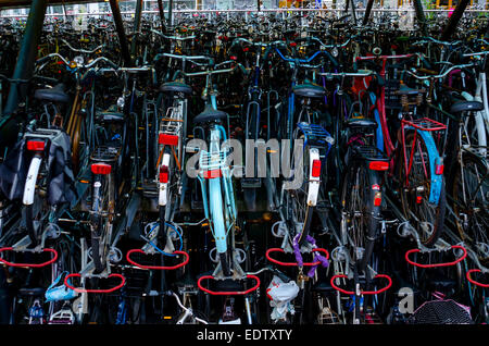 Migliaia di biciclette sono memorizzati in pile ad una stazione ferroviaria di Leiden nei Paesi Bassi Foto Stock