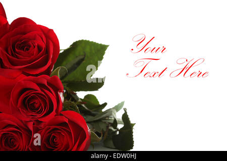 Mazzo di rose Foto Stock