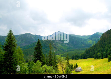 Capanna solitaria su un prato di montagna Foto Stock