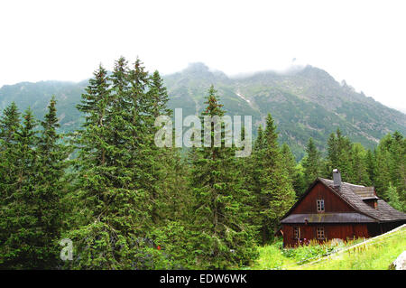 Capanna solitaria su un prato di montagna Foto Stock