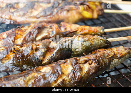 Catfishs erano arrostite sulla brace (cibo nativo in Tailandia) Foto Stock