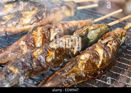 Catfishs erano arrostite sulla brace (cibo nativo in Tailandia) Foto Stock