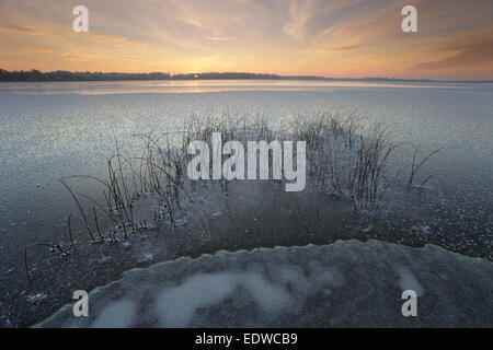 Congelati e gelido lago Saadjärv in inverno al tramonto, Vooremaa riserva paesaggistica, Estonia. Foto Stock