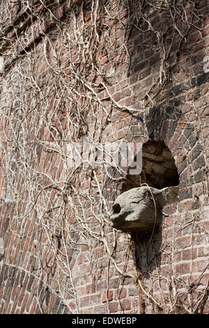 Storico Fort prussiano Gargoyle (dettaglio), Volksgarten, Colonia, Westfalia, Germania Foto Stock