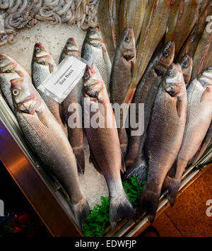 Spigola in vendita Foto Stock