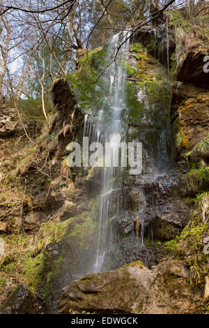 Regno Unito, Inghilterra, Yorkshire, Goathland, Mallyan Spout cascata Foto Stock