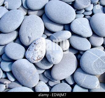 Disco ciottoli closeup sulla spiaggia Foto Stock
