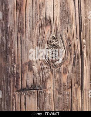 Weathered di corteccia di albero con spaccature in primo piano Foto Stock