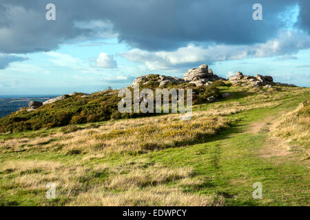 Affioramento di granito su Meldon collina vicino Chagford Parco Nazionale di Dartmoor Devon UK Foto Stock