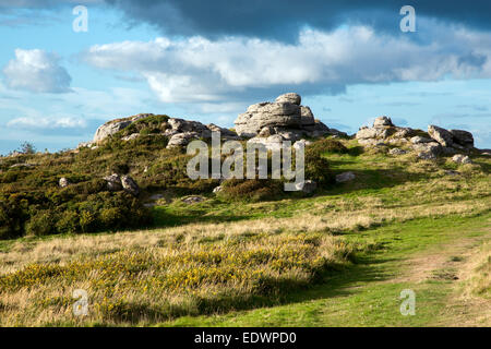 Affioramento di granito su Meldon collina vicino Chagford Parco Nazionale di Dartmoor Devon UK Foto Stock