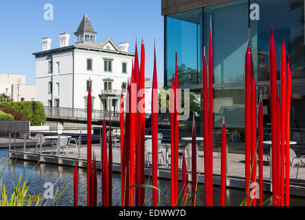 Dale Chihuly vetro scultura reed a al Museo delle Belle Arti della Virginia VMFA a Richmond, Virginia Foto Stock