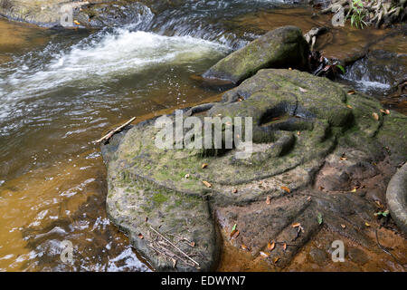 Linga e sculture di divinità Indù presso Il Kbal Spean, il fiume dei mille linga, Siem Reap, Cambogia Foto Stock