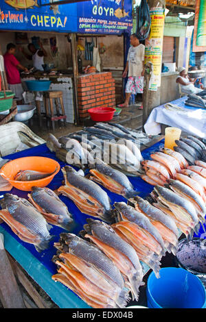 Pressione di stallo di pesce a Cartagena il principale mercato Foto Stock