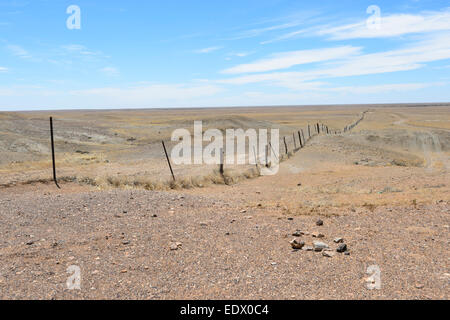 La South Australian sezione del cane guida è 2,250km lungo. Esso forma una barriera continua che si estende per oltre 5.000 km attraverso Foto Stock