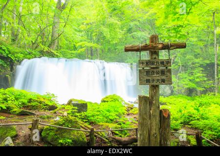 Flusso Oirase, Cyoushiootaki, Aomori, Giappone Foto Stock