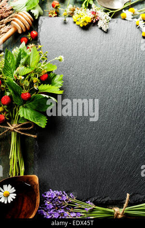 Fresche fragole selvatiche - perfetto per l'estate, tè o menù vegetariano Foto Stock