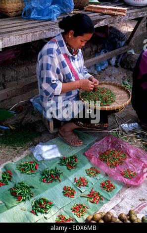 Laos, Luang Prabang, mercato Foto Stock