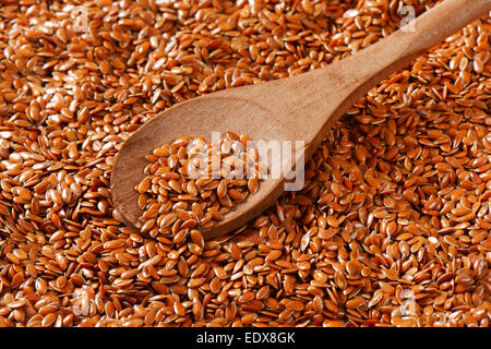 Flaxseeds (chiamato anche i semi di lino) - ricca fonte di grassi sani, agenti antiossidanti e fibre ottiche Foto Stock