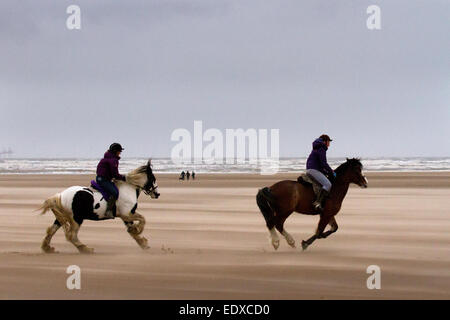 Southport, Merseyside, Regno Unito. Xi gennaio, 2015 UK Meteo. "I cavalli al galoppo'   cavallo Cavaliere, Hayley Davies, approfittando della lunga distesa di finissima sabbia ferma ad esercitare il suo cavallo, pur in condizioni difficili con vento di burrasca soffiata sabbia. Attività, sport, e inseguimenti sulla spiaggia di Ainsdale nonostante i forti venti, mare mosso e cielo nuvoloso. Credito: Mar fotografico/Alamy Live News Foto Stock