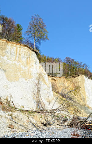 Chalk rocce di Rügen island (Germania, Mecklenburg-Vorpommern) Foto Stock