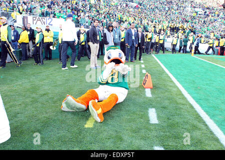 Gennaio 01, 2015 Oregon Ducks mascotte durante il College Football Playoff Semi finale presso il Rose Bowl gioco presentato da Northwestern reciproco presso il Rose Bowl a Pasadena, in California.Charles Baus/CSM Foto Stock