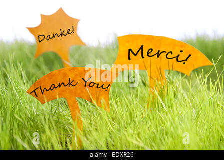 Tre etichette con testo tedesco Danke e testo francese Merci che significa la ringrazio di Sunny erba verde per la primavera o estate Feelin Foto Stock