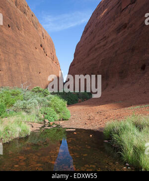 Walpa Gorge, il Olgas, Uluru-Kata Tjuta National Park, il Territorio del Nord, l'Australia Foto Stock