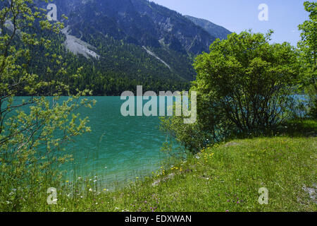 Tirol, Ausserfern, Plansee, Österreich, lago Plansee, Alpi Ammergau, Ammer montagne, Austria, Tirolo, Lakeshore, Nord, Ammergau Foto Stock
