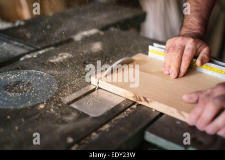 Carpenter lavorando su una sega circolare Foto Stock