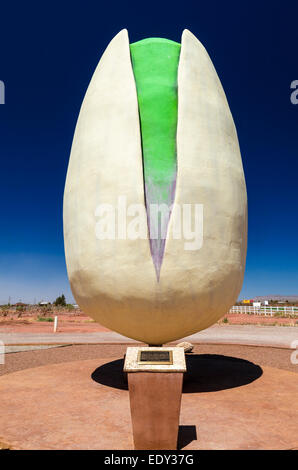 Mondi più grande pistacchio a McGinn nel suo ranch, Alamogordo, Nuovo Messico USA Foto Stock