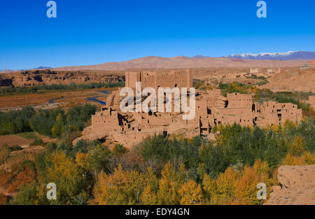 Vecchia Kasbah, Itran, El Kelaa M' Gouna, Vallée des Roses, a valle delle rose, Sous-Massa-Draa, Alto Atlante, Marocco, Africa del Nord Foto Stock