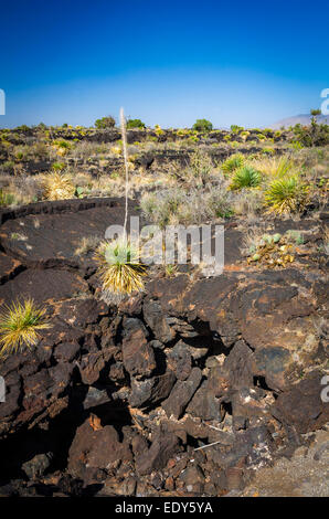 Tubo di lava sul Malpais Sentiero Natura, la valle di incendi Naturale Area ricreativa, Carrizozo, Nuovo Messico USA Foto Stock
