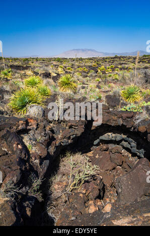 Tubo di lava sul Malpais Sentiero Natura, la valle di incendi Naturale Area ricreativa, Carrizozo, Nuovo Messico USA Foto Stock