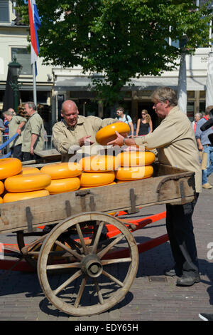 Caricamento di formaggio su un tradizionale carrello di legno, Waagplein Square, Alkmaar, North Holland, Paesi Bassi, Europa Foto Stock
