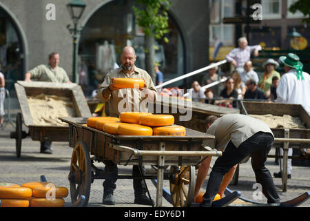 Caricamento di formaggio su un tradizionale carrello di legno, Waagplein Square, Alkmaar, North Holland, Paesi Bassi, Europa Foto Stock