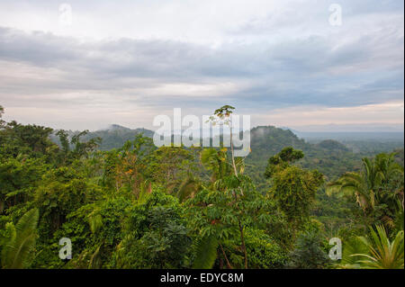 Copale Tree Lodge, il Belize Foto Stock