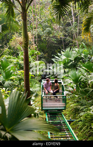 Copale Tree Lodge, il Belize Foto Stock