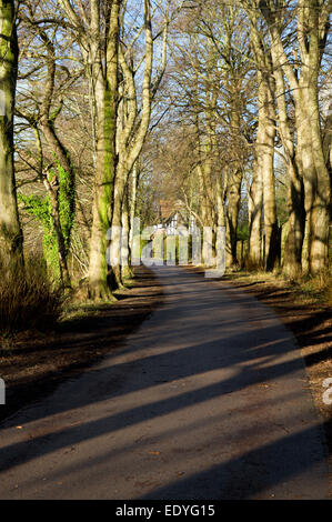 Taff Trail, Cardiff, Galles, UK. Foto Stock