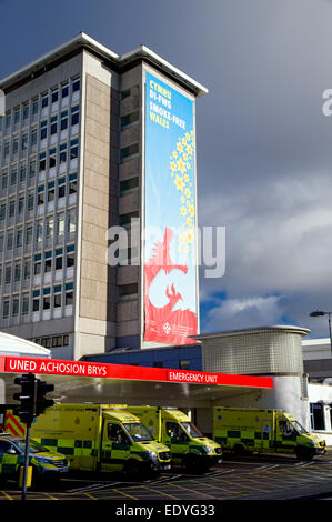 University Hospital of Wales, Heath Park, Cardiff, Galles, UK. Foto Stock