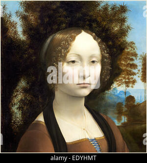 Leonardo da Vinci, italiano (1452-1519), Ginevra de' Benci [complementare], c. 1474-1478, olio su pannello Foto Stock