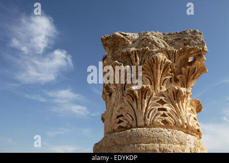 La testa della colonna, antica città romana di Jerash, parte della Decapoli, Jerash Jerash, Governatorato, Giordania Foto Stock