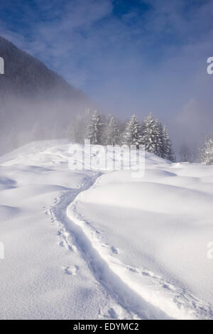 Le tracce nella neve, Mt Hocheck, Mangfall montagne, vicino a Oberaudorf, Alta Baviera, Baviera, Germania Foto Stock